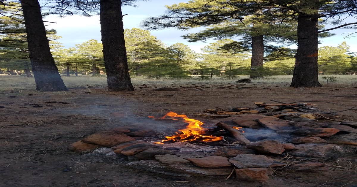 Lockett Meadow Dispersed Camping