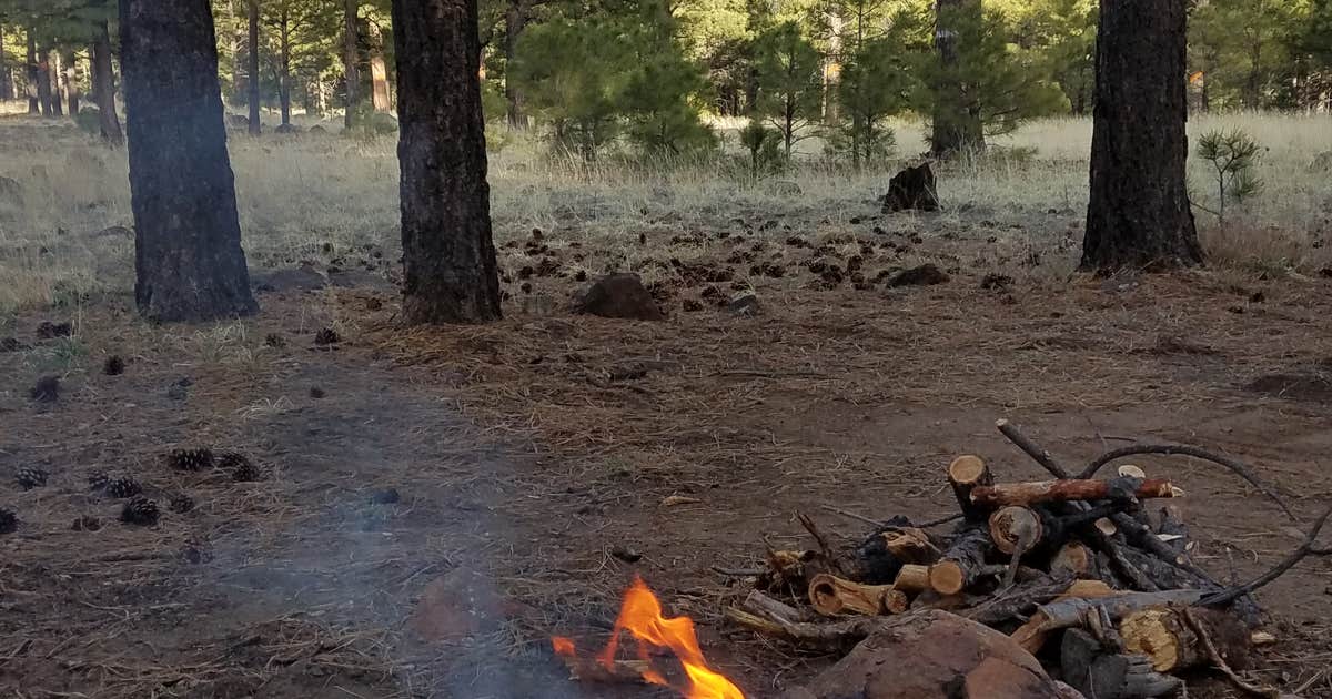 Lockett Meadow Dispersed Camping
