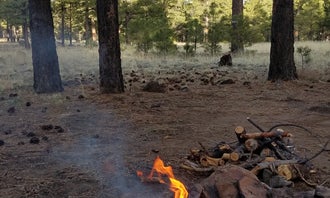 Camping near Sunset Crater: Lockett Meadow Dispersed Camping, Flagstaff, Arizona