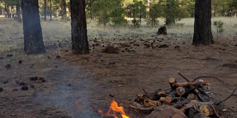 Camper submitted image from Lockett Meadow Dispersed Camping