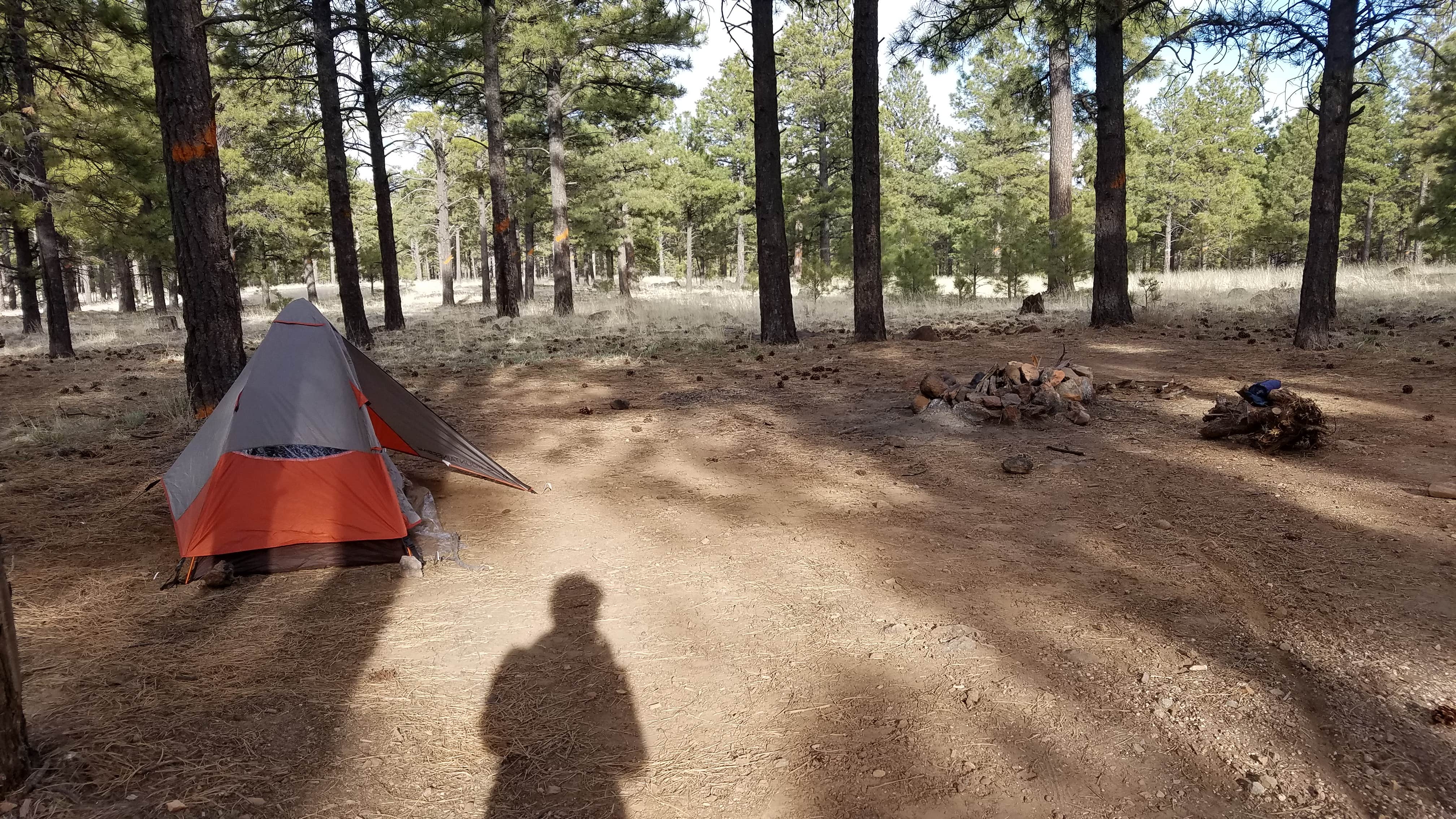 Amy G.'s photo at Lockett Meadow Dispersed Camping near Cameron, AZ