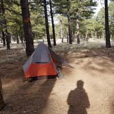 Review photo of Lockett Meadow Dispersed Camping by Amy G., April 29, 2019