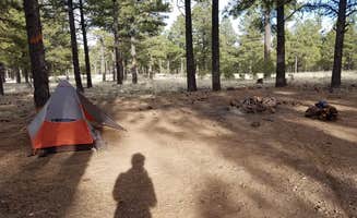 Amy G.'s photo of a dispersed camping area at Lockett Meadow Dispersed Camping in Arizona