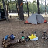 Review photo of Lockett Meadow Dispersed Camping by Amy G., April 29, 2019