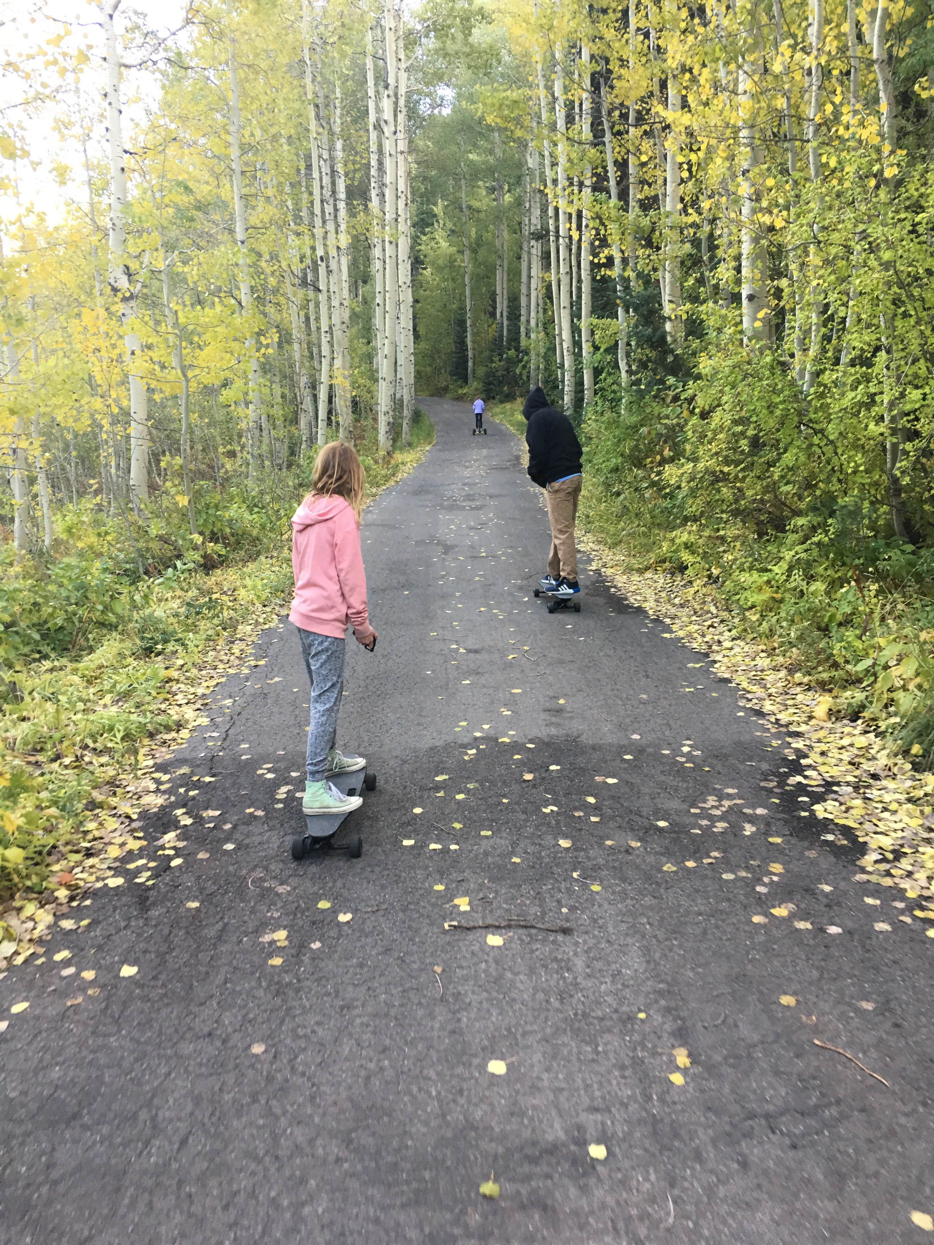 Camper submitted image from Spruces - Big Cottonwood - 4