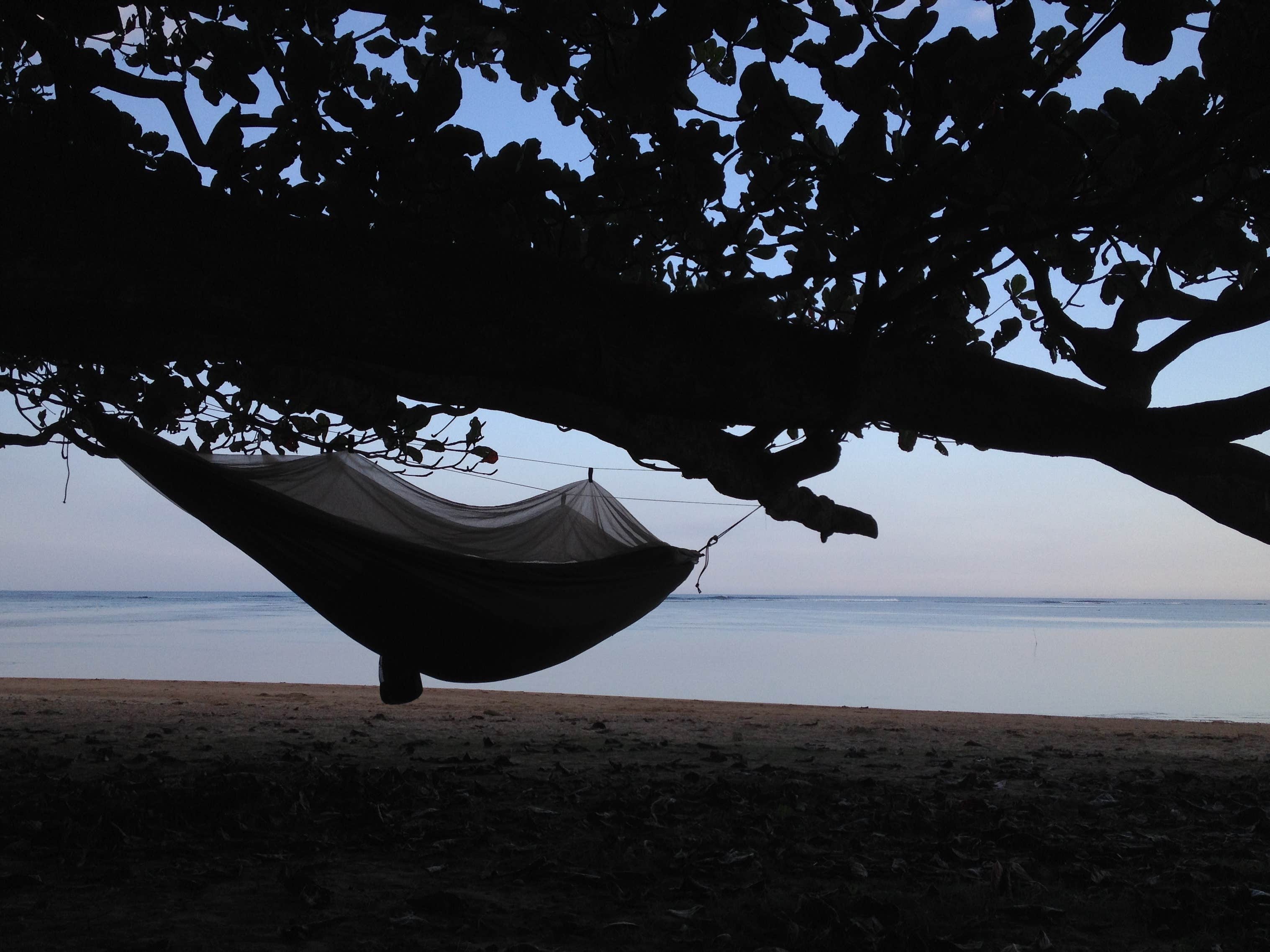 Camper submitted image from Anini Beach Park - 5