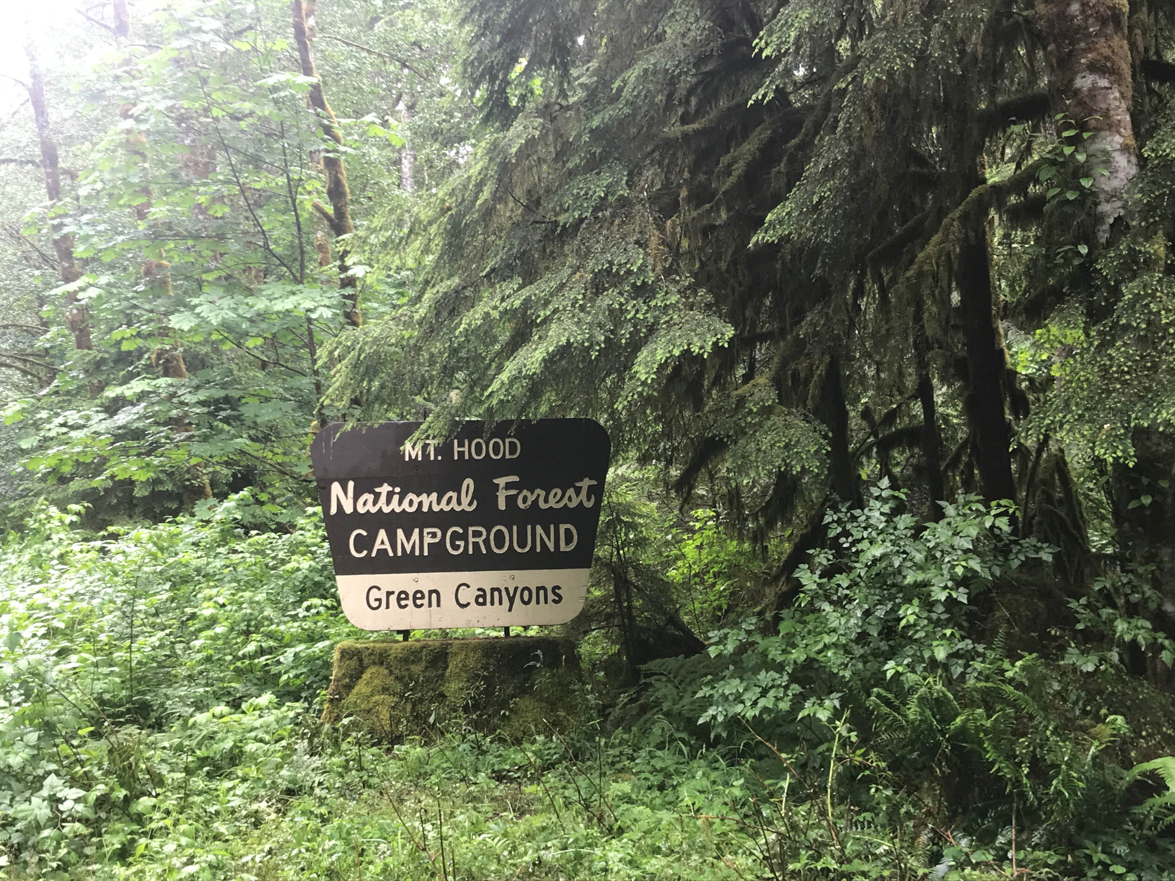 Camper-submitted photo at Green Canyon near Welches, OR