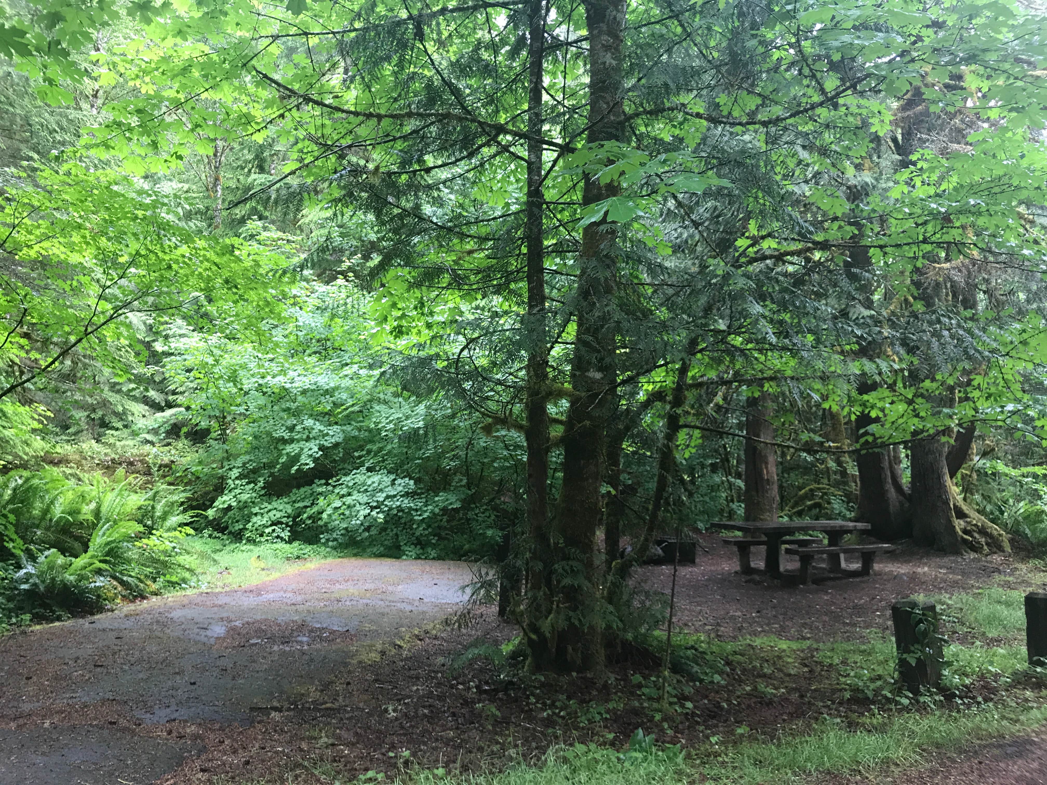 Camper-submitted photo at Green Canyon near Welches, OR