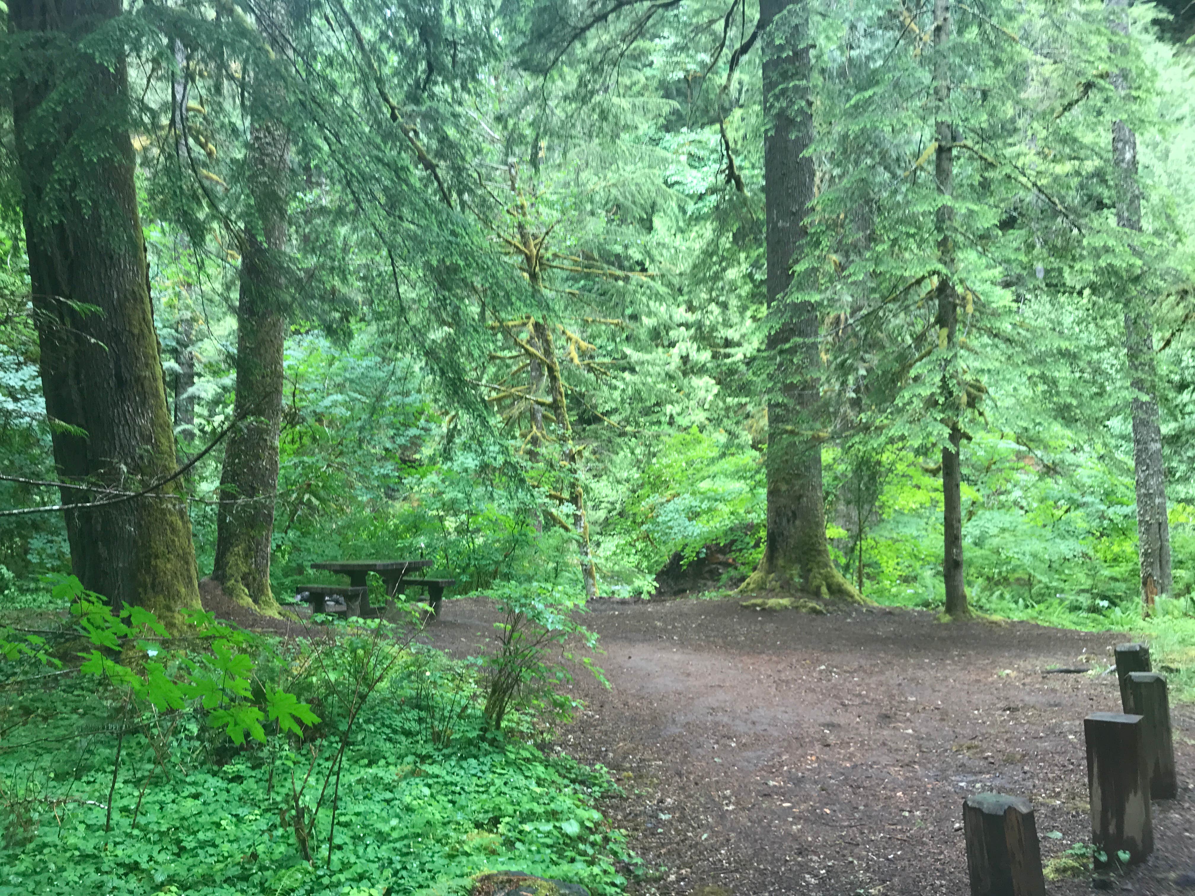 Camper-submitted photo at Green Canyon near Welches, OR