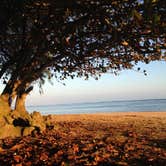Review photo of Anini Beach Park by Laura H., August 28, 2016