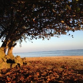 Review photo of Anini Beach Park by Laura H., August 28, 2016