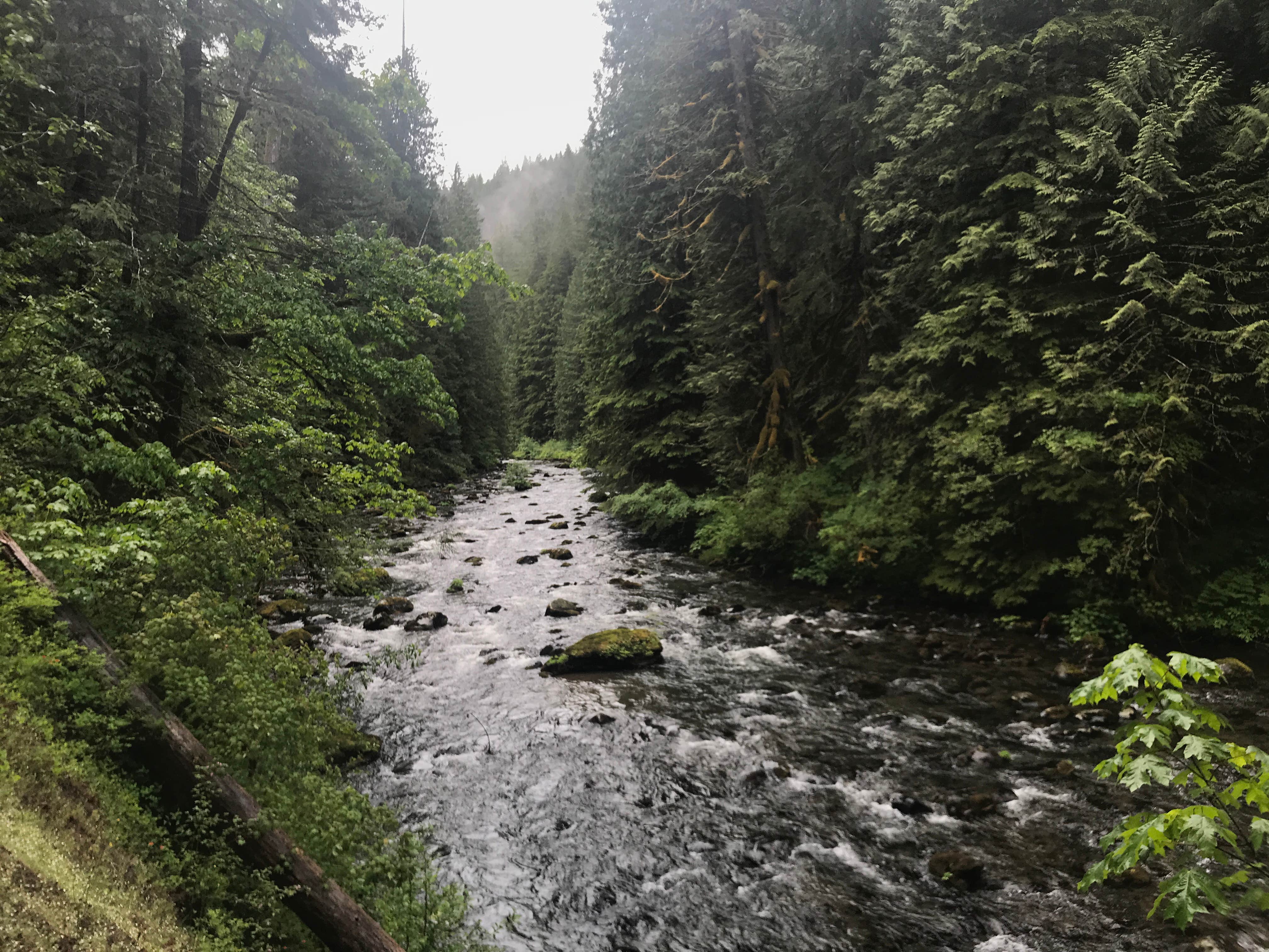 Some of the campsites have a river view
