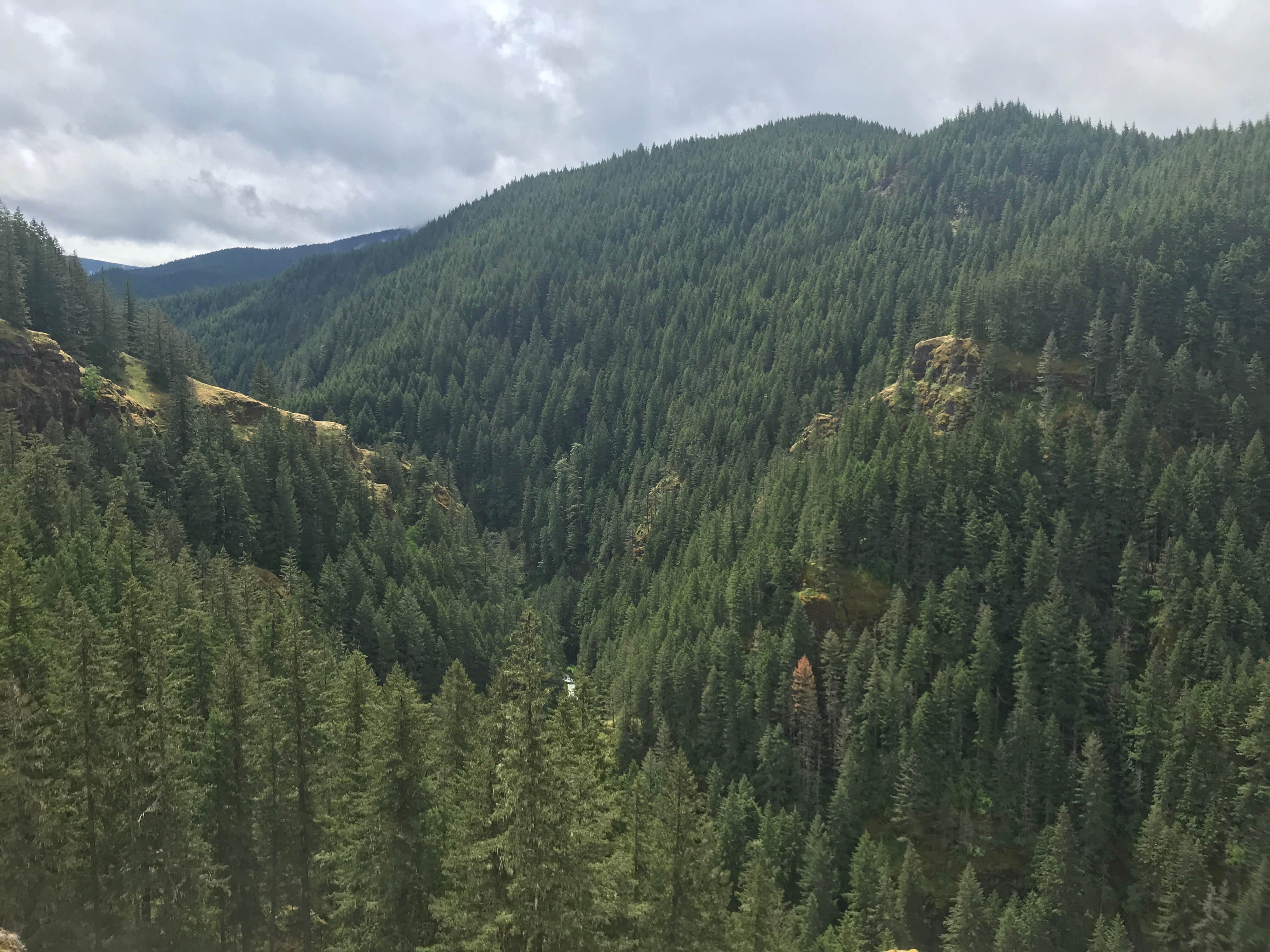 Views from the top of Salmon Creek hike.