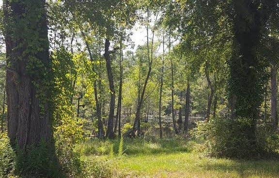 Camper submitted image from A-Okay RV Park - 3