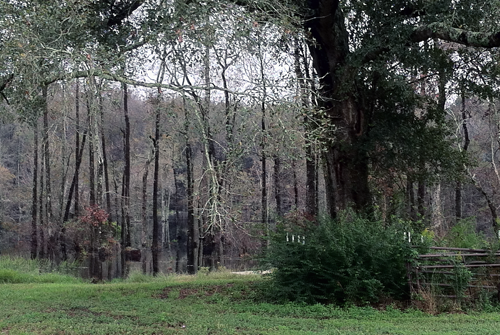 Camper submitted image from A-Okay RV Park - 5