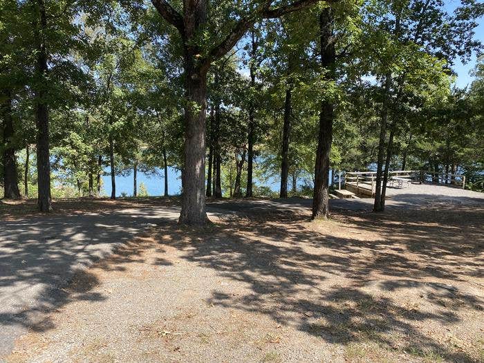 Camper submitted image from Narrows (AR) - 2