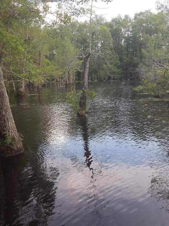 Camper-submitted photo at A-Okay RV Park near Fort Rucker, AL