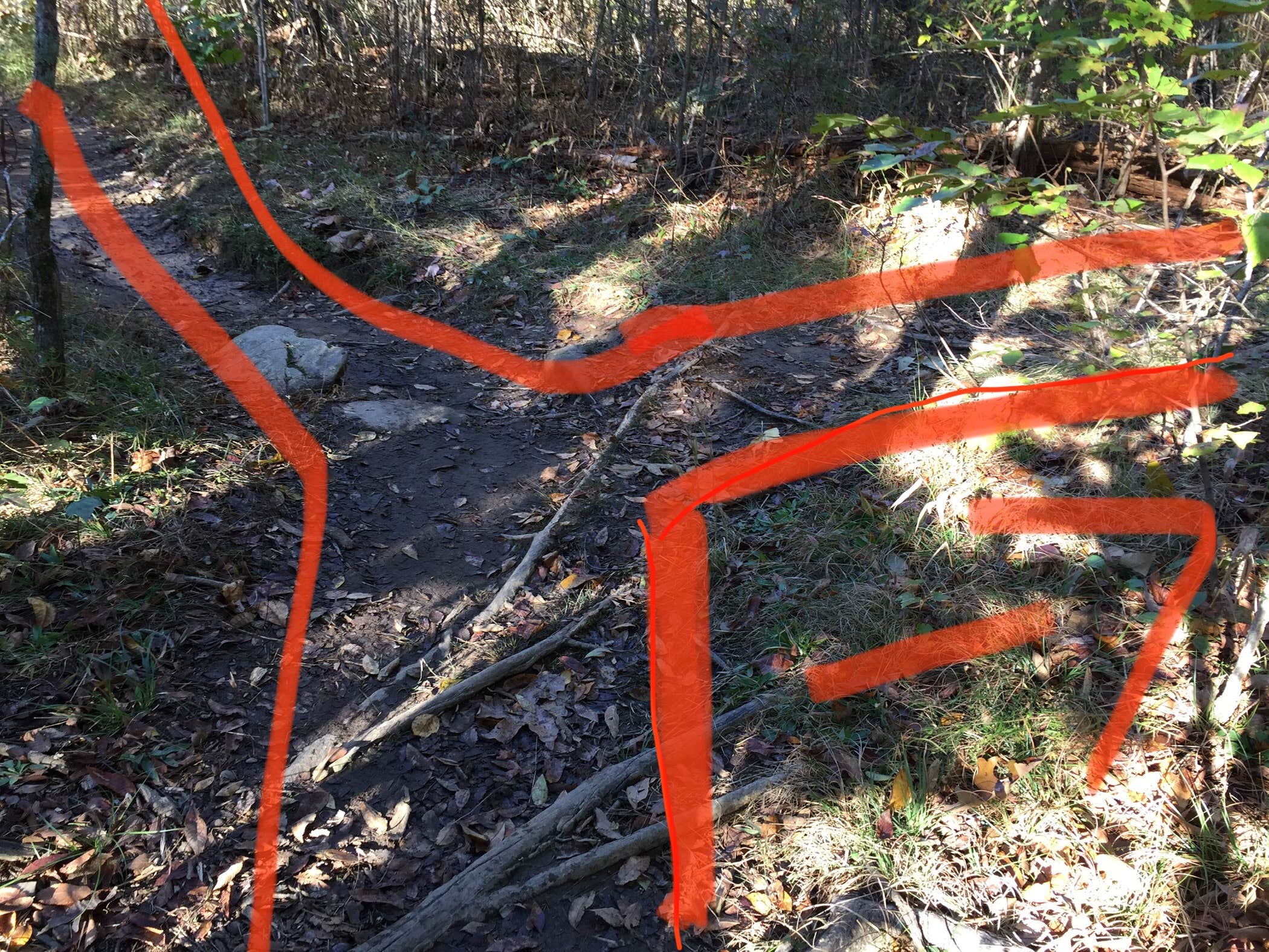 Camper submitted image from Lockhart's Arch Shelter - on the Cumberland Trail - 2