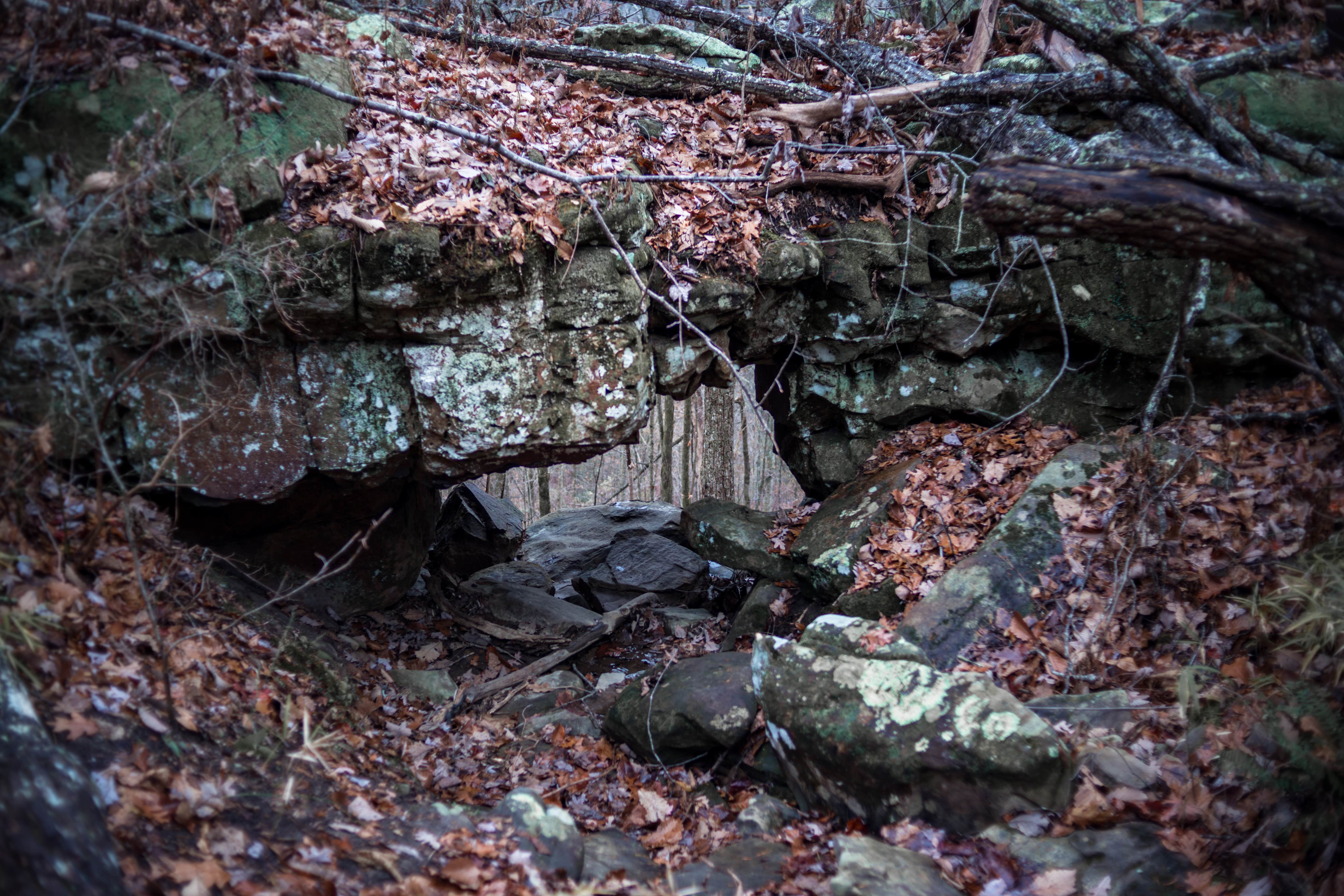 Camper-submitted photo at Lockhart's Arch Shelter - on the Cumberland Trail near Signal Mountain, TN