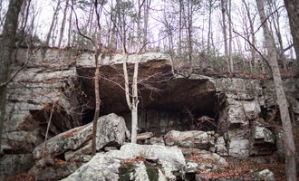 Camping near Chester Frost Park: Lockhart's Arch Shelter, Signal Mountain, Tennessee