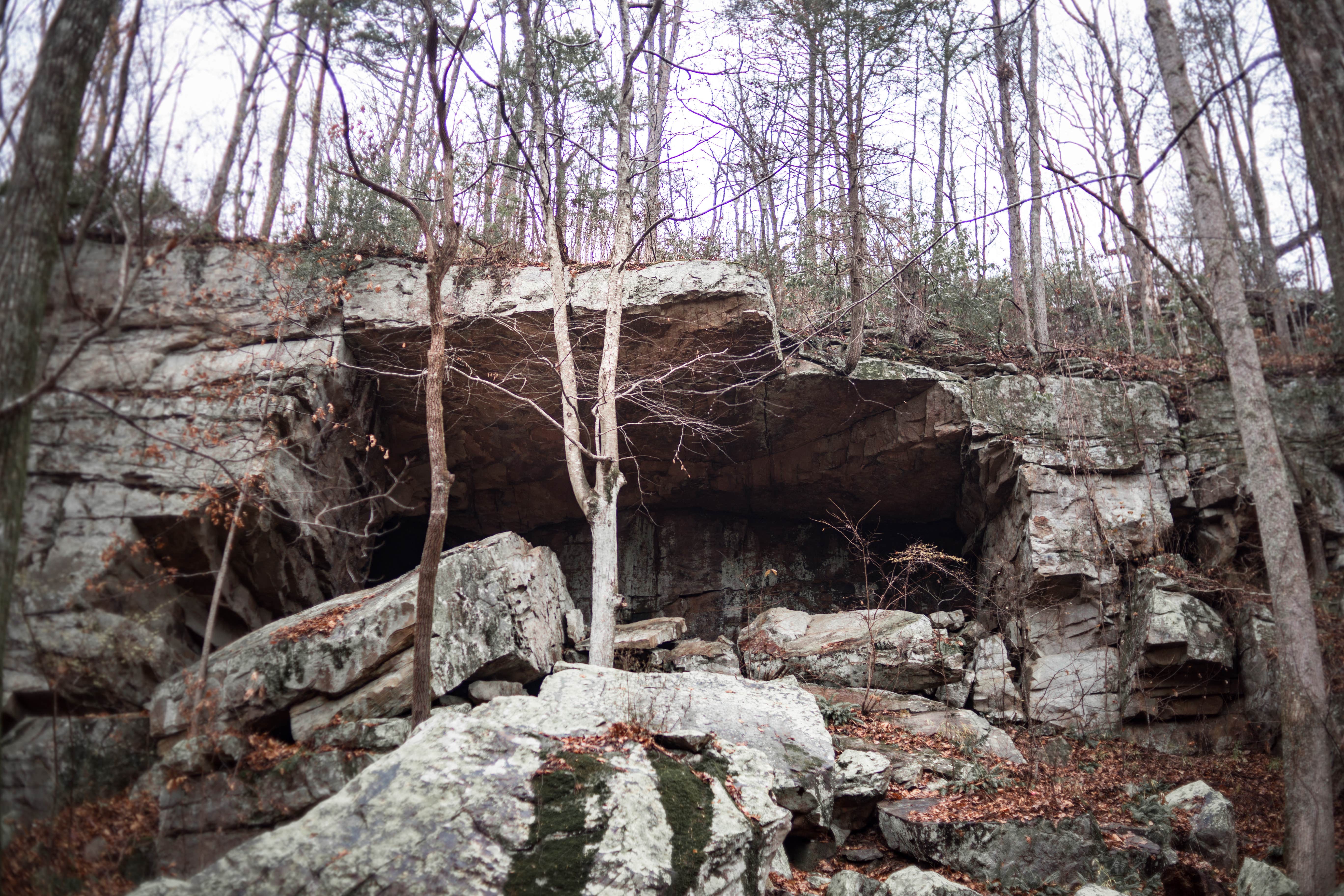 Camper submitted image from Lockhart's Arch Shelter - on the Cumberland Trail - 1