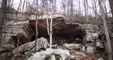 Lockhart's Arch Shelter