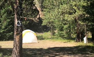 Stephanie Z.'s photo at Shelton Wayside near Condon, OR