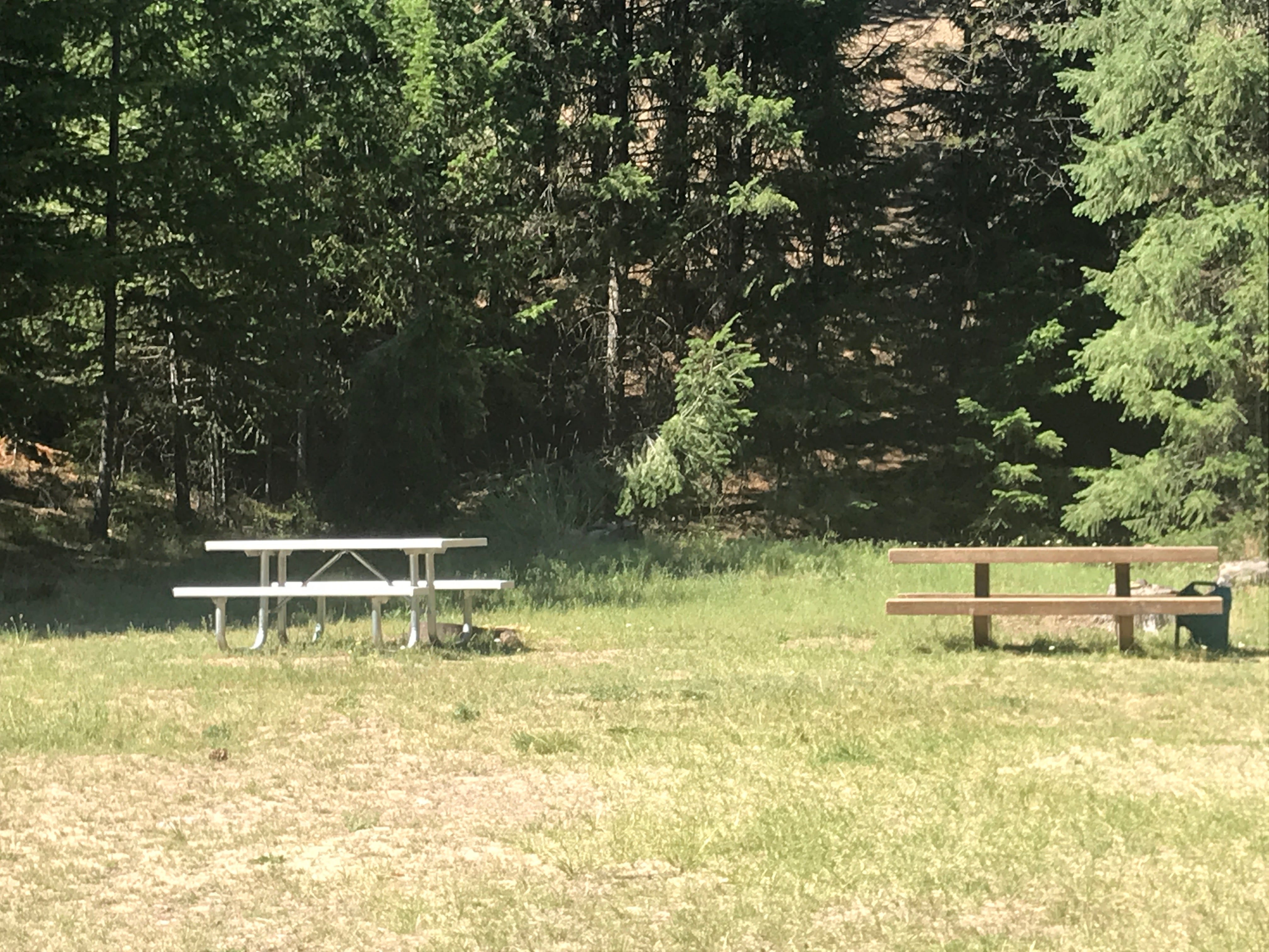 Sites are mostly designated by where there's a picnic table