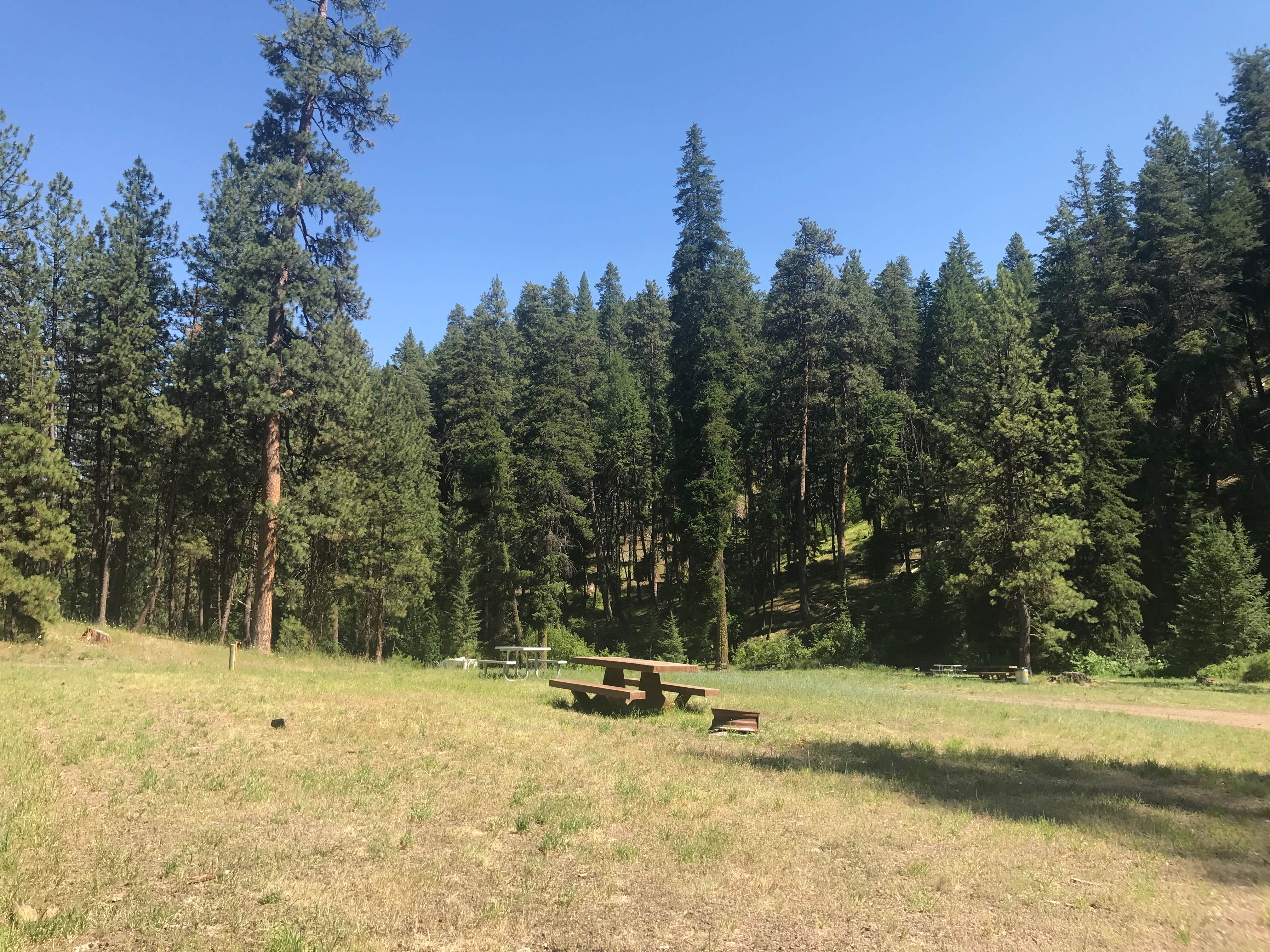 Camper-submitted photo at Shelton Wayside near Condon, OR