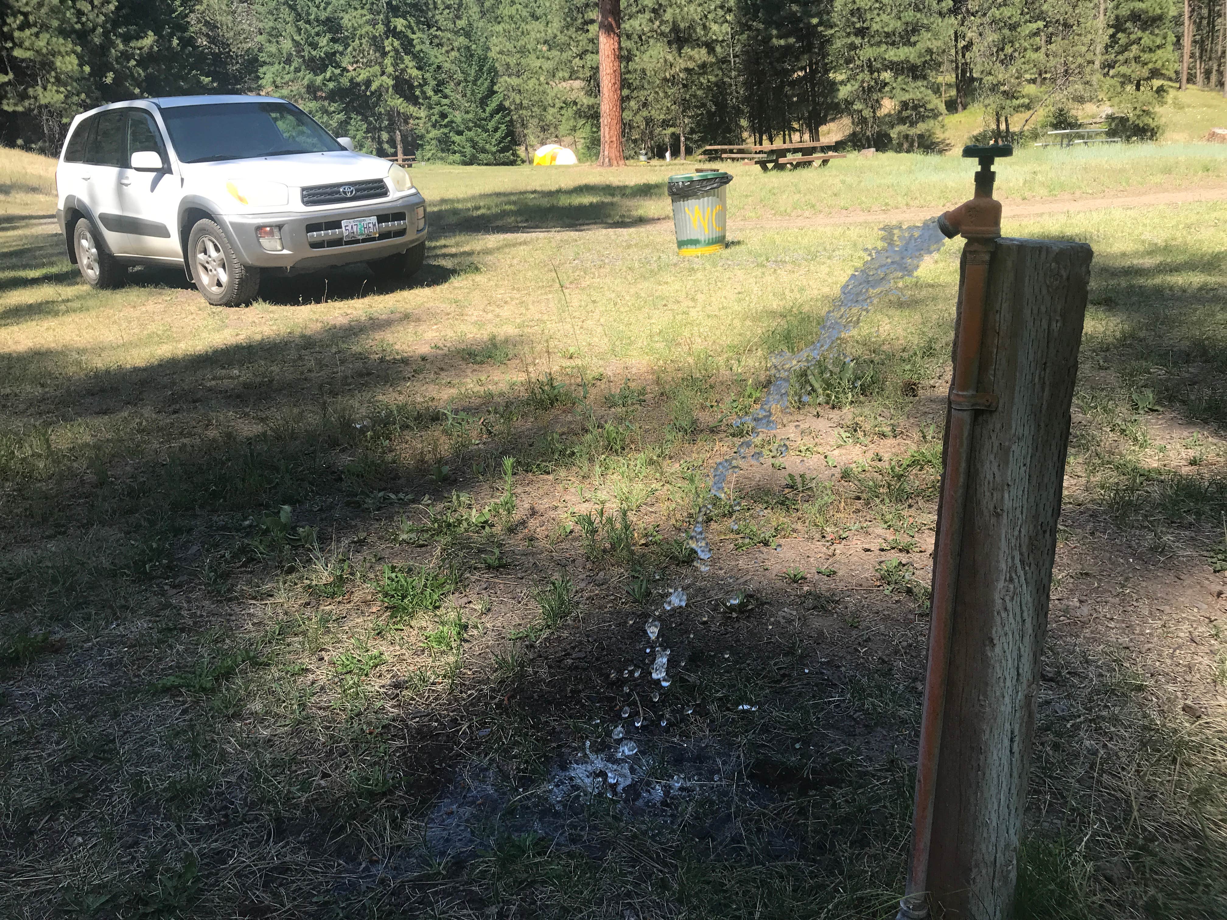 Camper-submitted photo at Shelton Wayside near Condon, OR