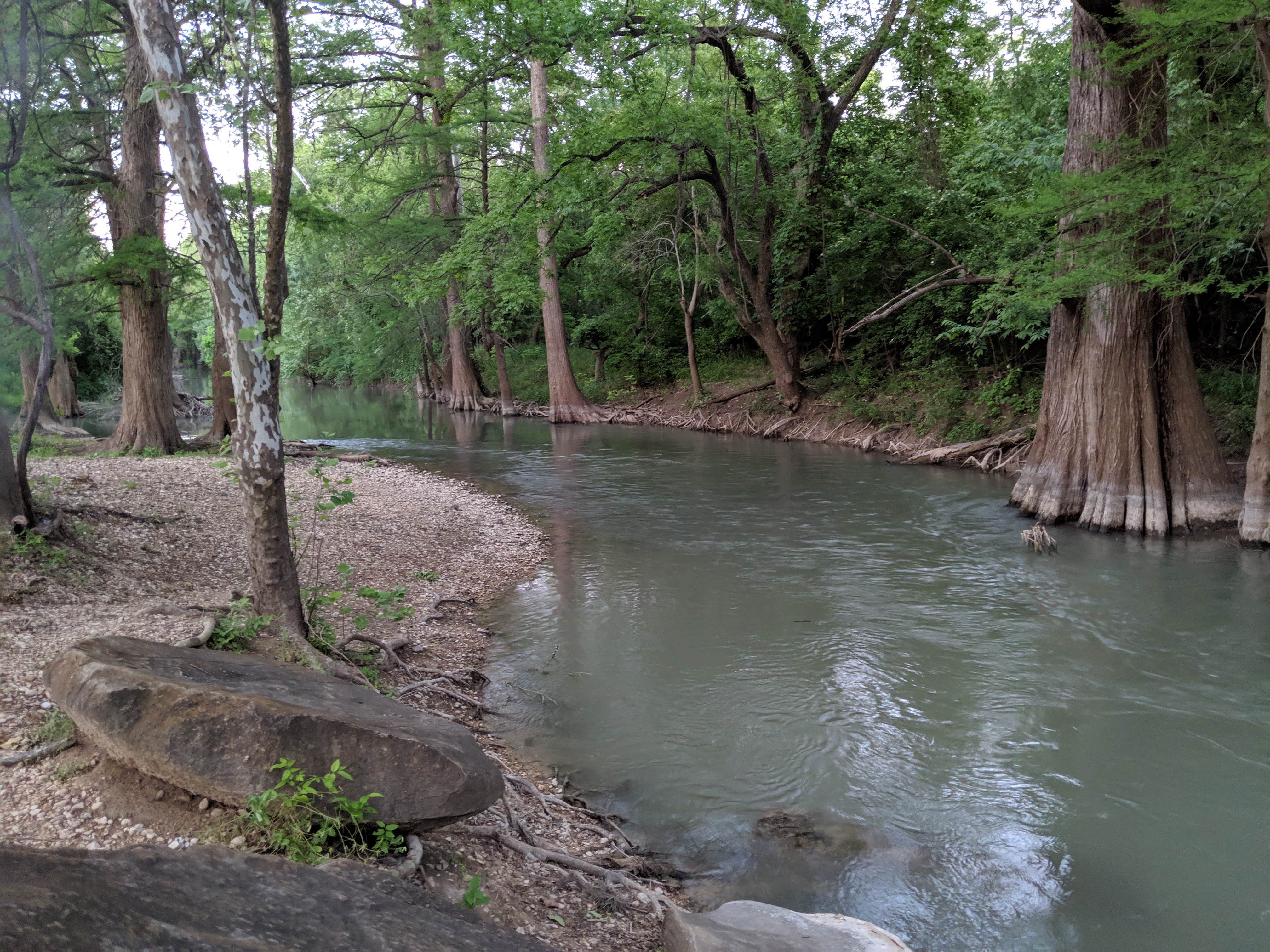 Camper submitted image from Alamo River RV Ranch Resort & Campground - 4