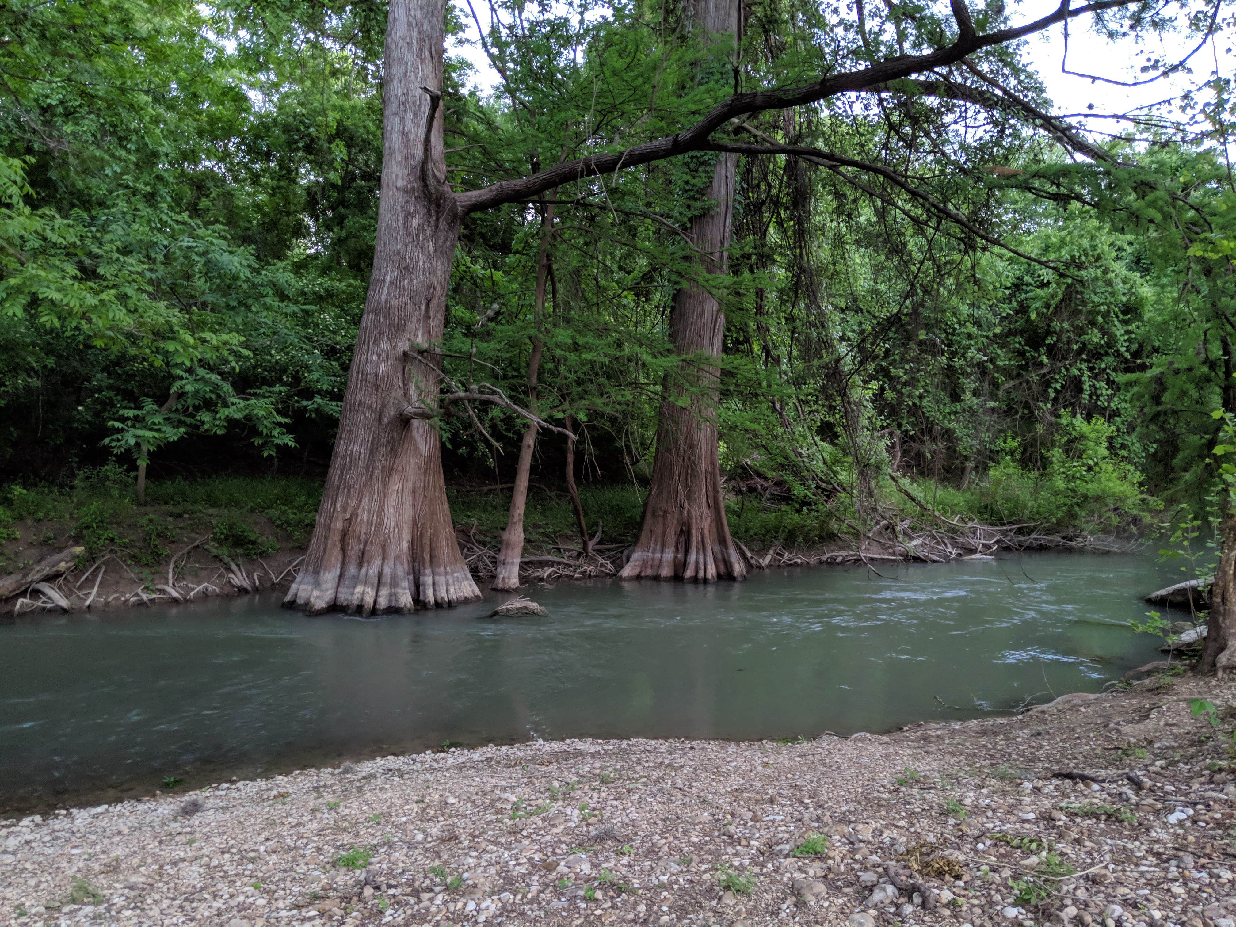 Camper submitted image from Alamo River RV Ranch Resort & Campground - 4