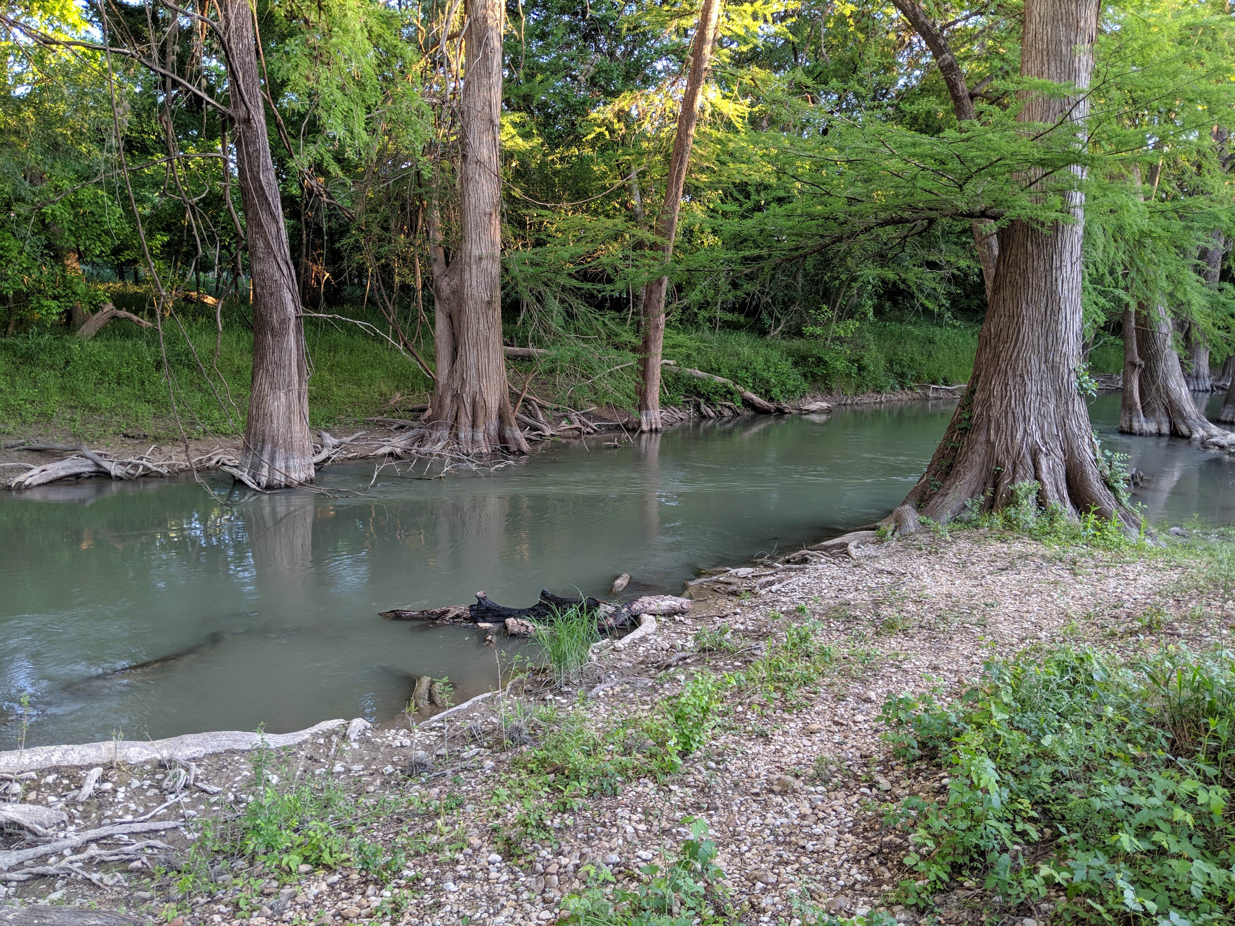 Camper submitted image from Alamo River RV Ranch Resort & Campground - 3