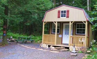 Michael R.'s photo of a cabin at Abrams Creek Campground and Retreat Center near Burlington, WV