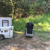 RovR RollR 60 cooler at Primitive campsite #6