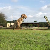 Review photo of Dinosaur Valley State Park — Dinosaur Valley State Park by Elizabeth N., April 29, 2019