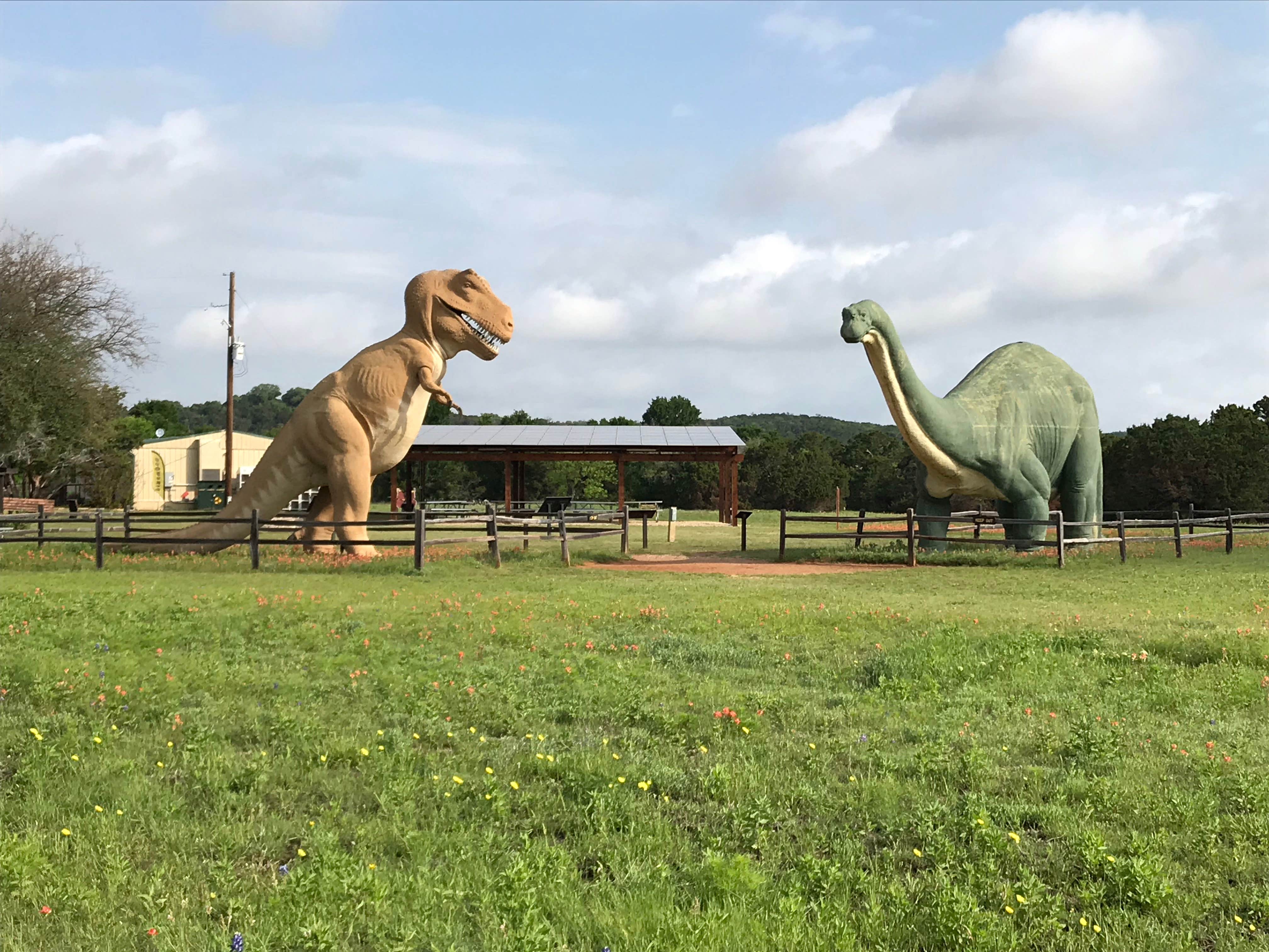 Elizabeth N.'s photo of camping with pets at Dinosaur Valley State Park Campground near Dublin, TX