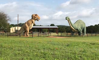 Elizabeth N.'s photo of camping with pets at Dinosaur Valley State Park Campground near Benbrook Lake