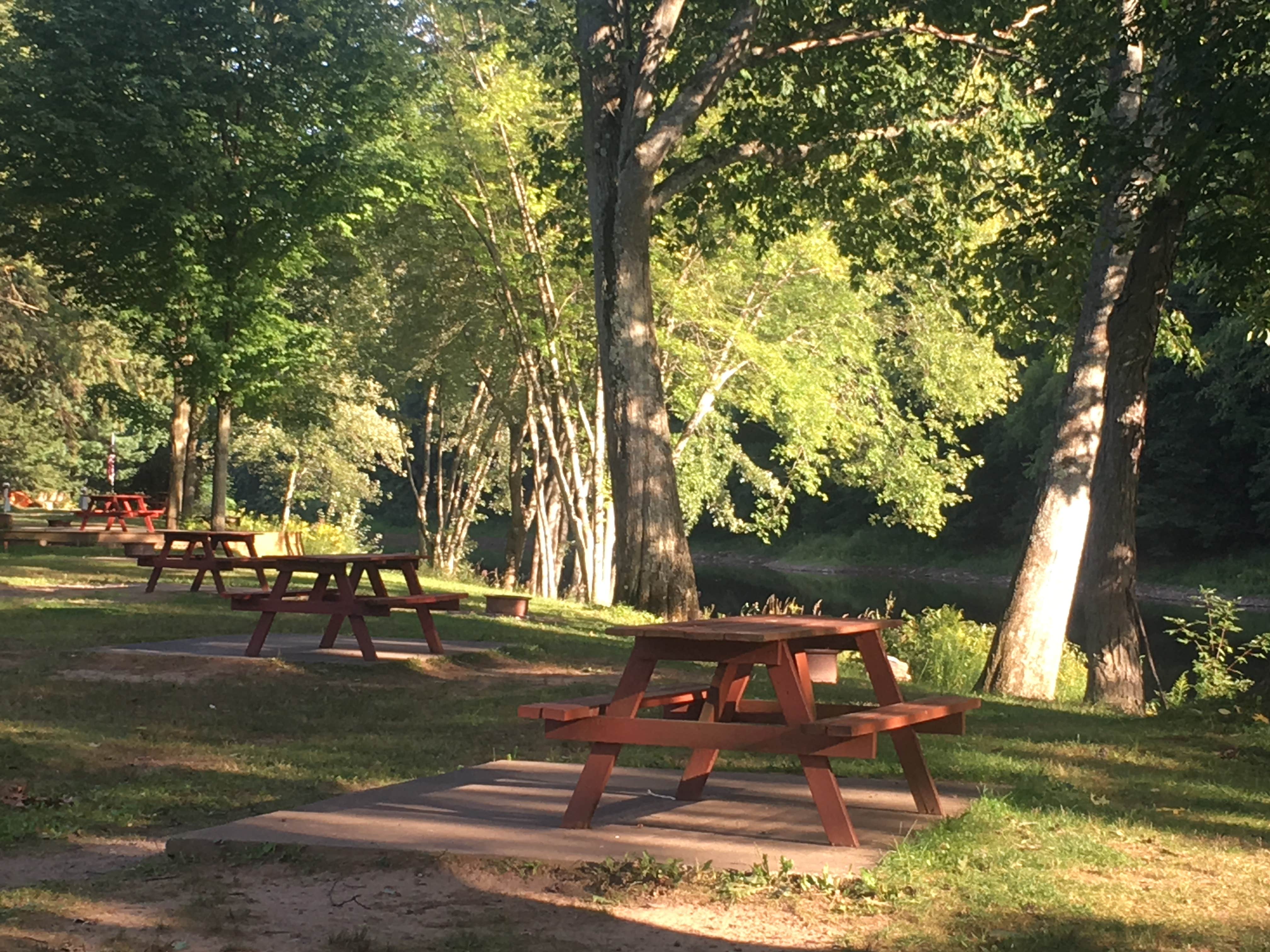 Camper submitted image from Riverhurst Park Campground - 2