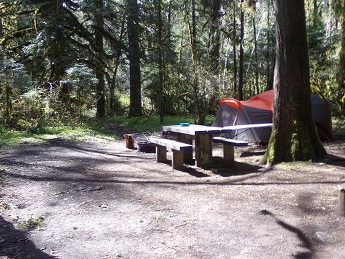 Camper submitted image from Mckenzie Bridge - 2