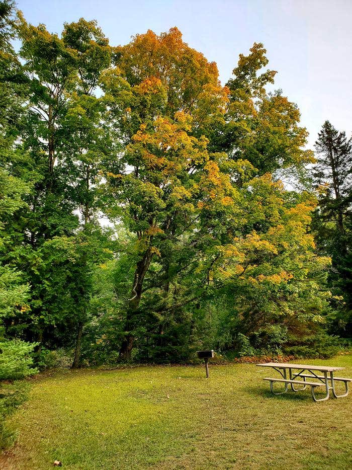 Camper submitted image from Flowing Well Campground - 2