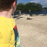 Review photo of Boyd's Key West Campground by Margaret , April 30, 2019