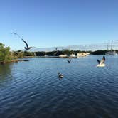 Review photo of Boyd's Key West Campground by Margaret , April 30, 2019
