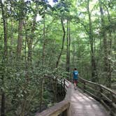 Review photo of Longleaf Campground — Congaree National Park by Margaret , April 30, 2019