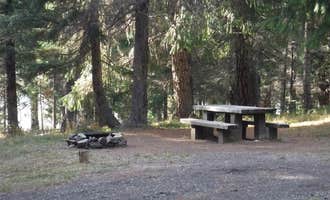 Camping near Inlet Campground: Bunker Hill Campground, Diamond Lake, Oregon