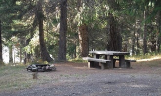 Camping near Lemolo Lake: Bunker Hill Campground, Diamond Lake, Oregon