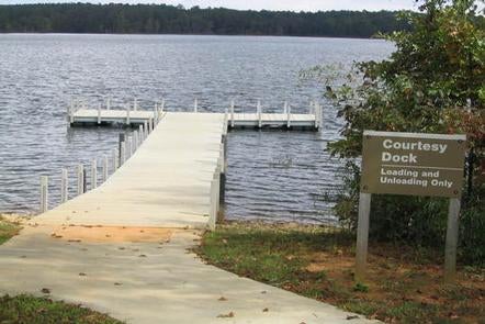 Camper submitted image from COE J Strom Thurmond Lake Gill Point Recreation Area - 1