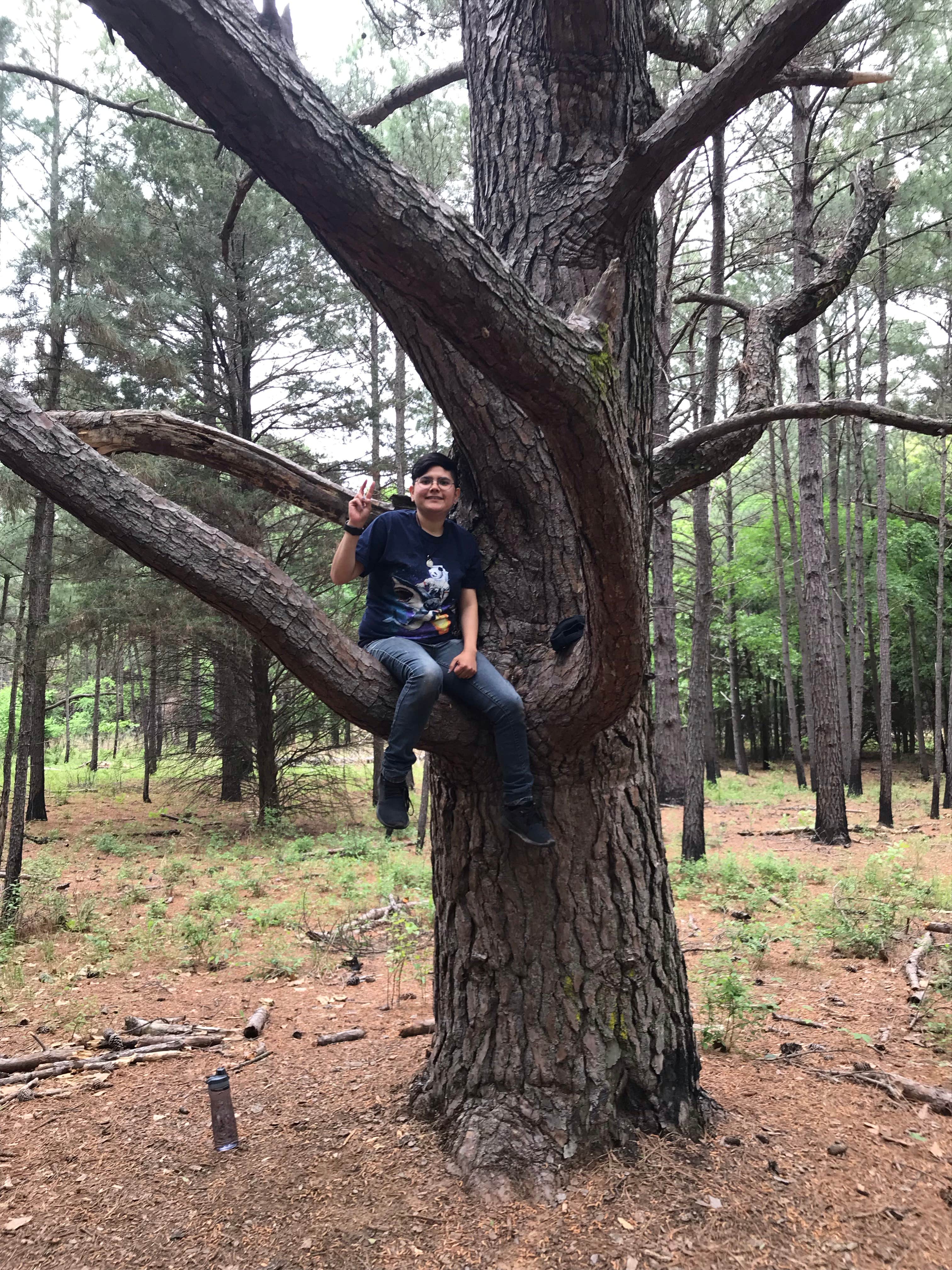 Camper-submitted photo at Isle du Bois Campsites — Ray Roberts Lake State Park near Lewisville, TX
