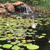 Review photo of Isle du Bois — Ray Roberts Lake State Park by Elizabeth N., April 30, 2019