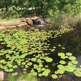 Review photo of Isle du Bois — Ray Roberts Lake State Park by Elizabeth N., April 30, 2019